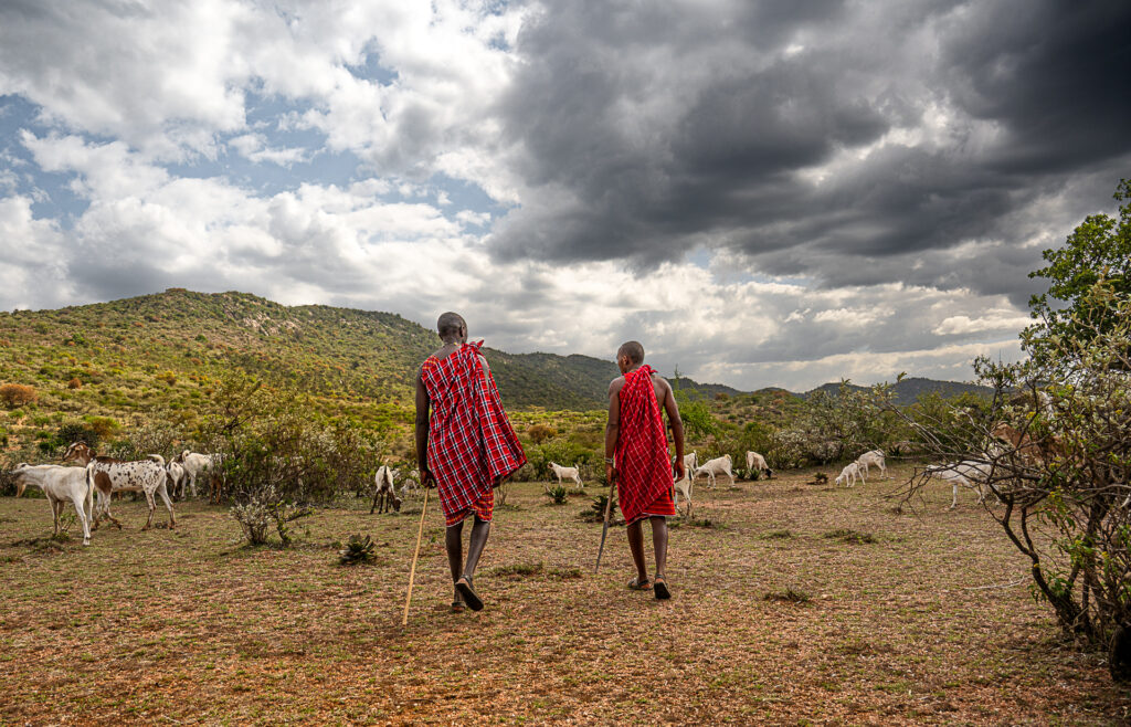 Marche avec les maasai dans les collines de Maji moto, Kenya