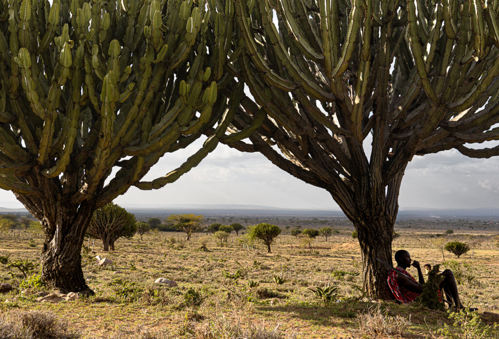 Marche avec les maasai dans les collines de Maji moto