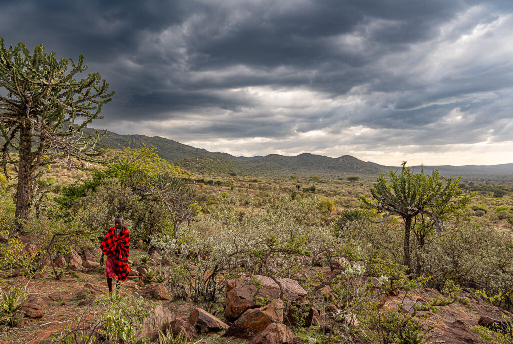 Marche avec les maasai dans les collines de Maji moto, Kenya