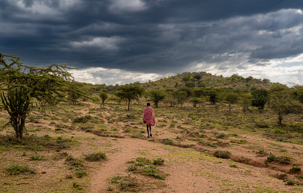 Marche avec les maasai dans les collines de Maji moto, Kenya